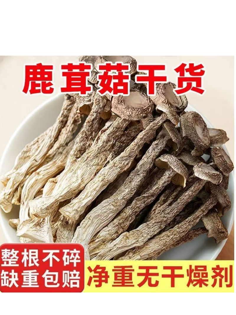 无熏无硫净重鹿茸菇一斤装，电商，团购礼盒一件代发
