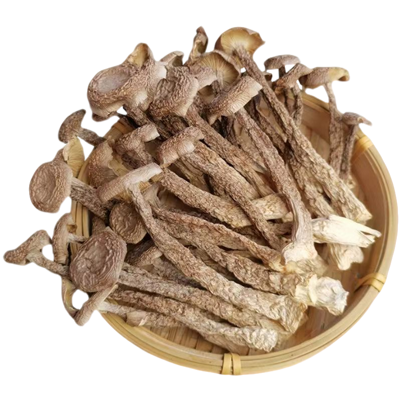 无熏无硫净重鹿茸菇一斤装，电商，团购礼盒一件代发