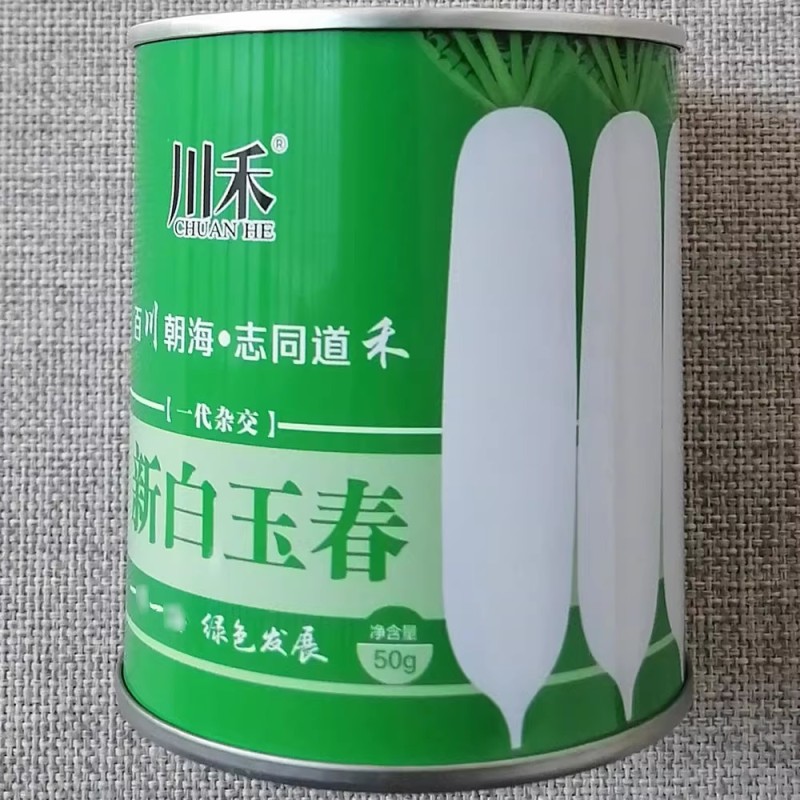 新白玉春萝卜种子秋播韩国纯白萝卜须少甜脆水果白萝卜种子籽