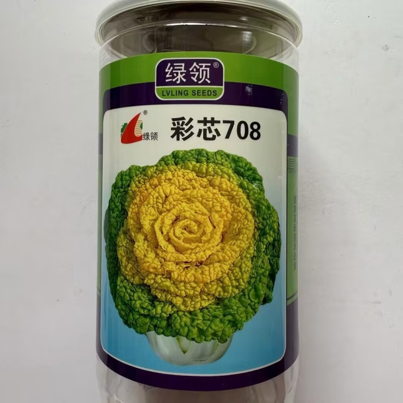 彩芯708黄心菜种子黄心乌种子株型紧凑美观大田基地