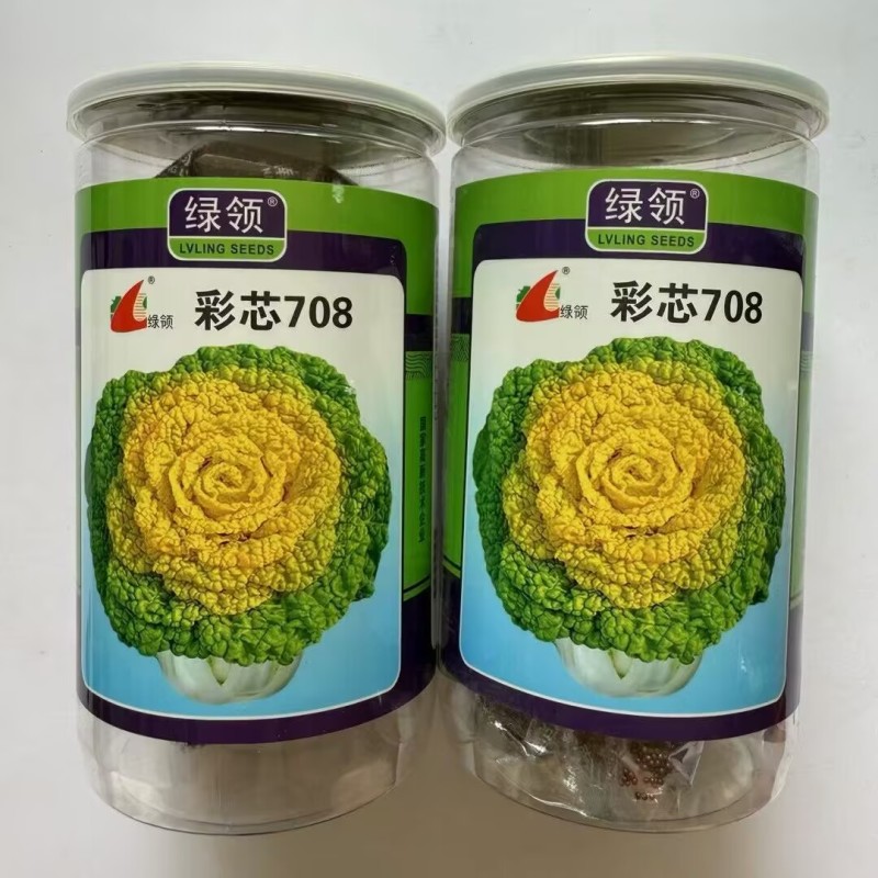 彩芯708黄心菜种子黄心乌种子株型紧凑美观大田基地