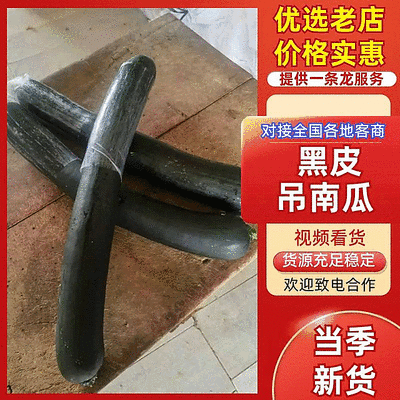 精选【吊南瓜】菜南瓜/吊南瓜/黑皮南瓜/砀山南瓜/发全国