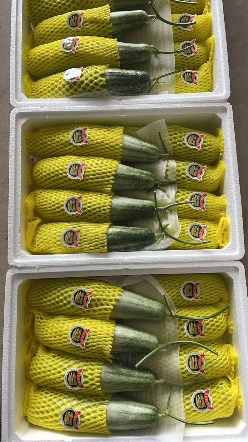 羊角蜜甜瓜/基地直发/货源充足/量大价优/欢迎采购
