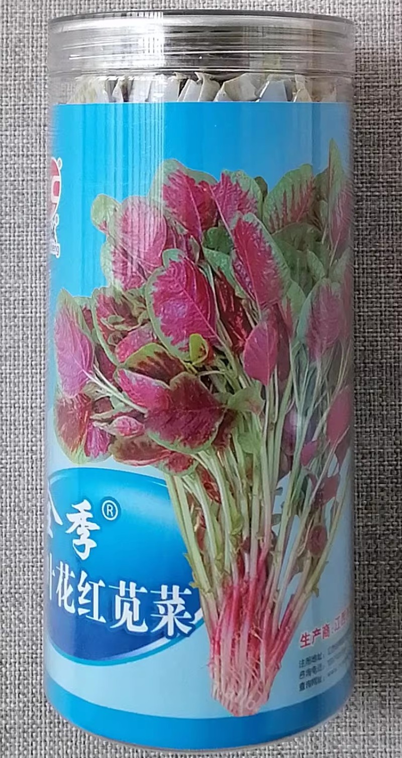 全季圆叶花红苋菜种子选育早熟红圆苋菜种籽叶片圆形四季蔬菜