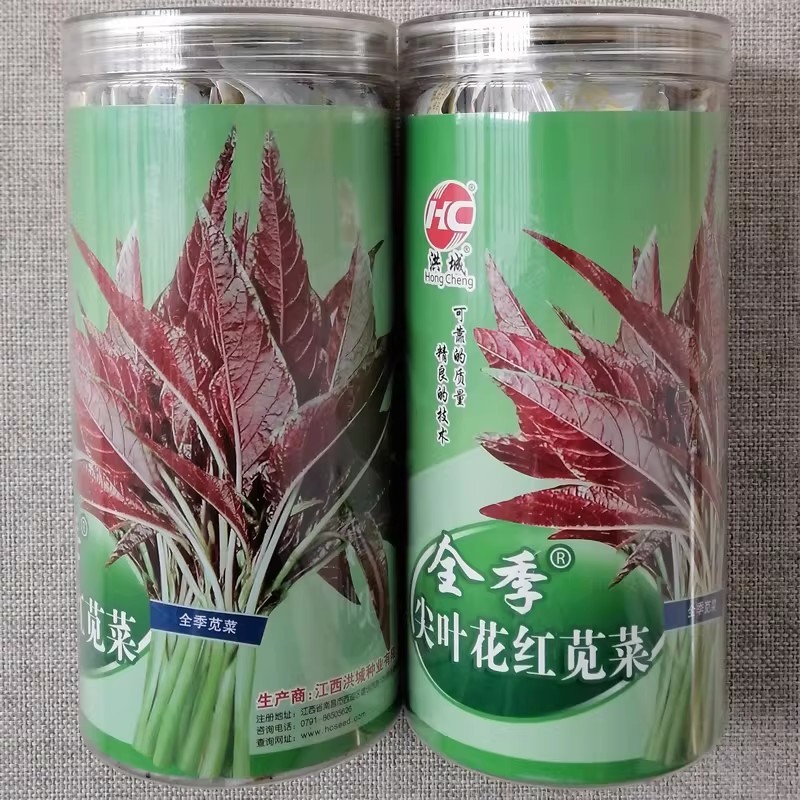全季尖叶花红苋菜种子四季花红苋菜种籽叶片紫红早熟优质高产