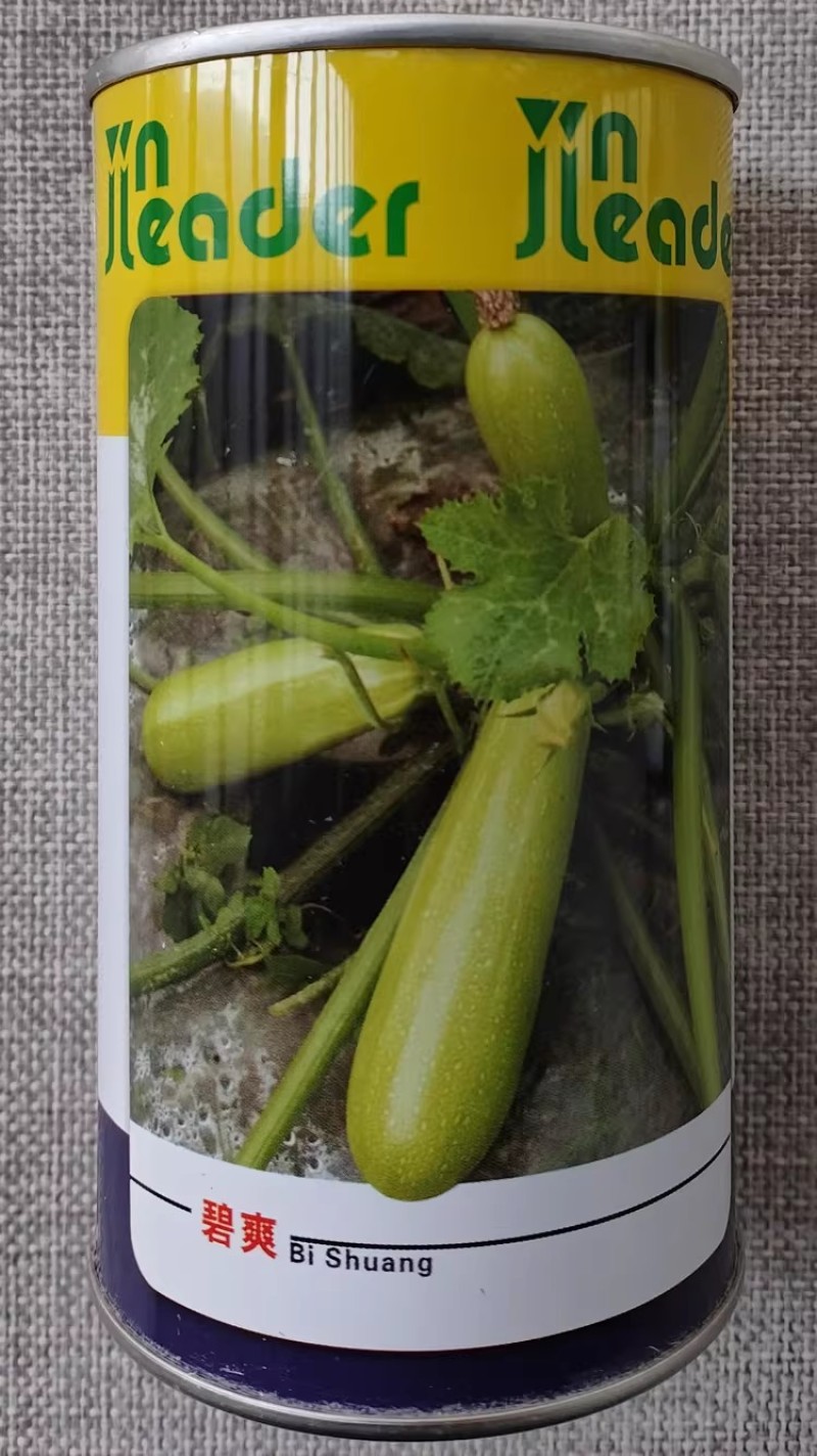 碧爽西葫芦种子杂交一代西葫芦长势快春秋露地大棚栽培