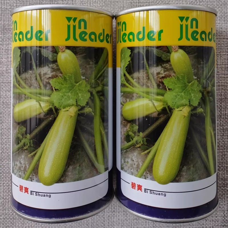碧爽西葫芦种子杂交一代西葫芦长势快春秋露地大棚栽培