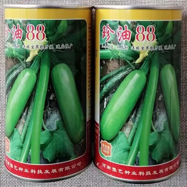 珍油88西葫芦种子瓜条顺直油亮翠绿笋瓜种籽连续坐果强