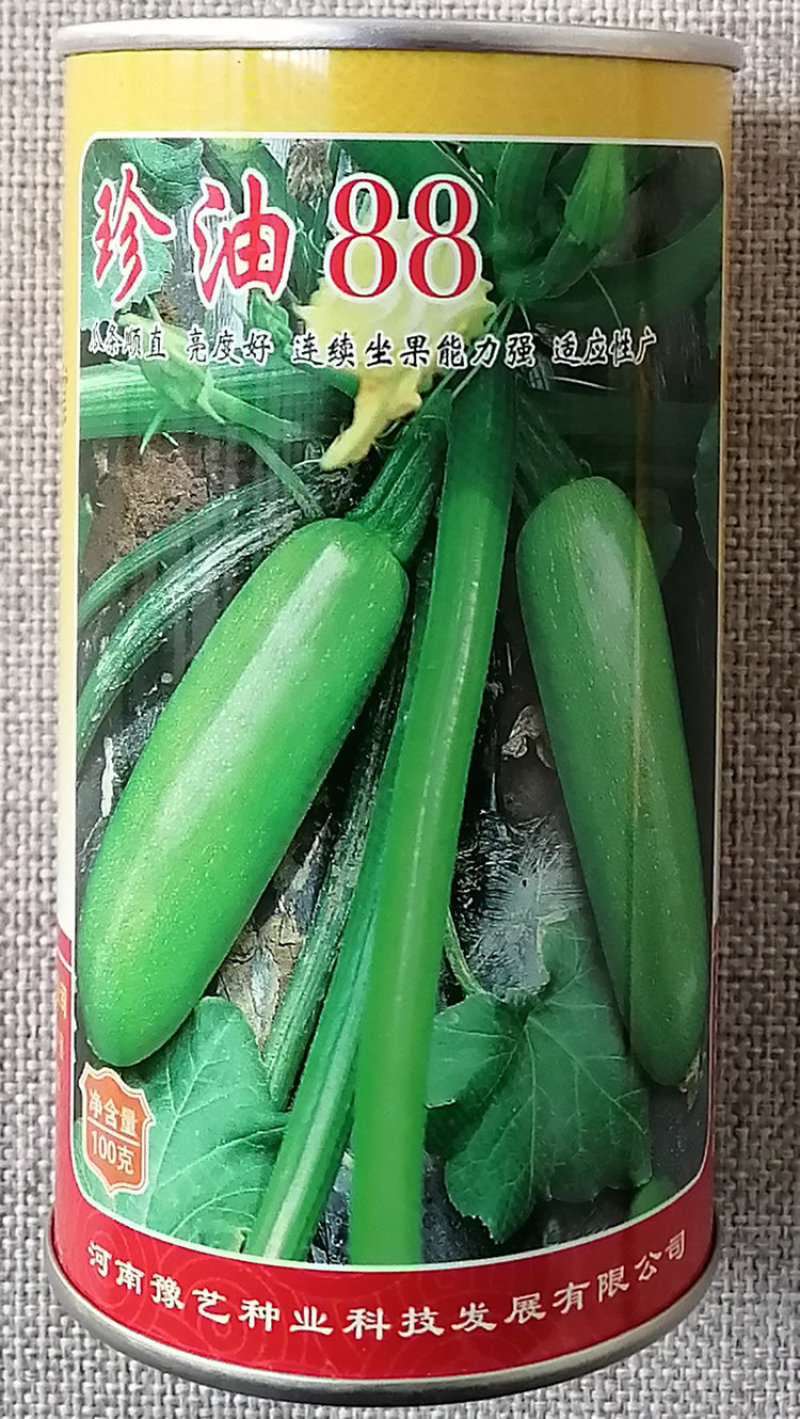 珍油88西葫芦种子瓜条顺直油亮翠绿笋瓜种籽连续坐果强