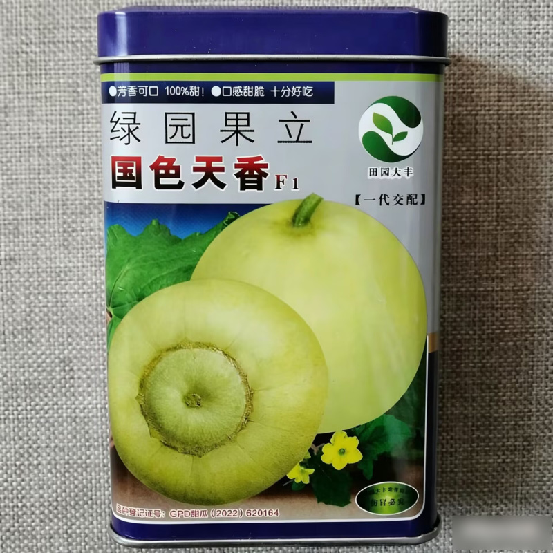国色天香甜宝甜瓜种子大棚露地早熟绿黄皮高糖香瓜蔬菜种籽