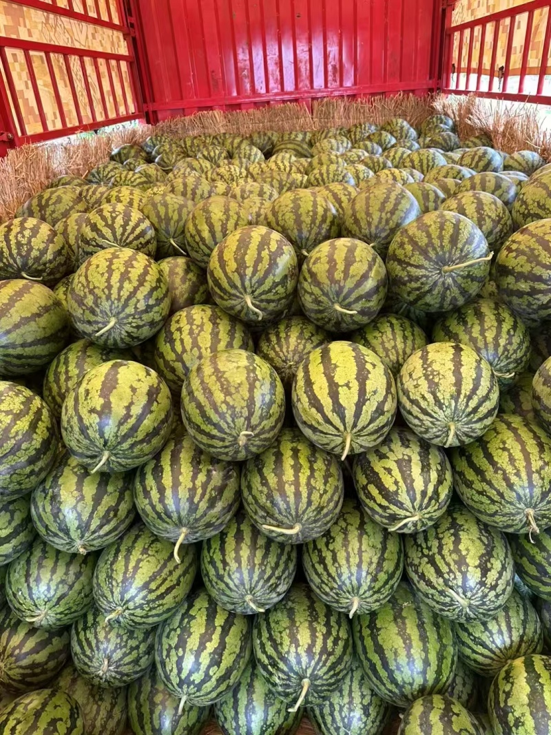 广西精品甜王西瓜