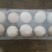 山东土鸡蛋自家养殖土鸡蛋，品质保证，量大从优，电联价格可谈