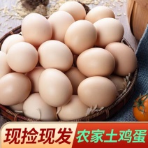 【精品鸡蛋】正宗土鸡蛋，价格优惠，质量保证