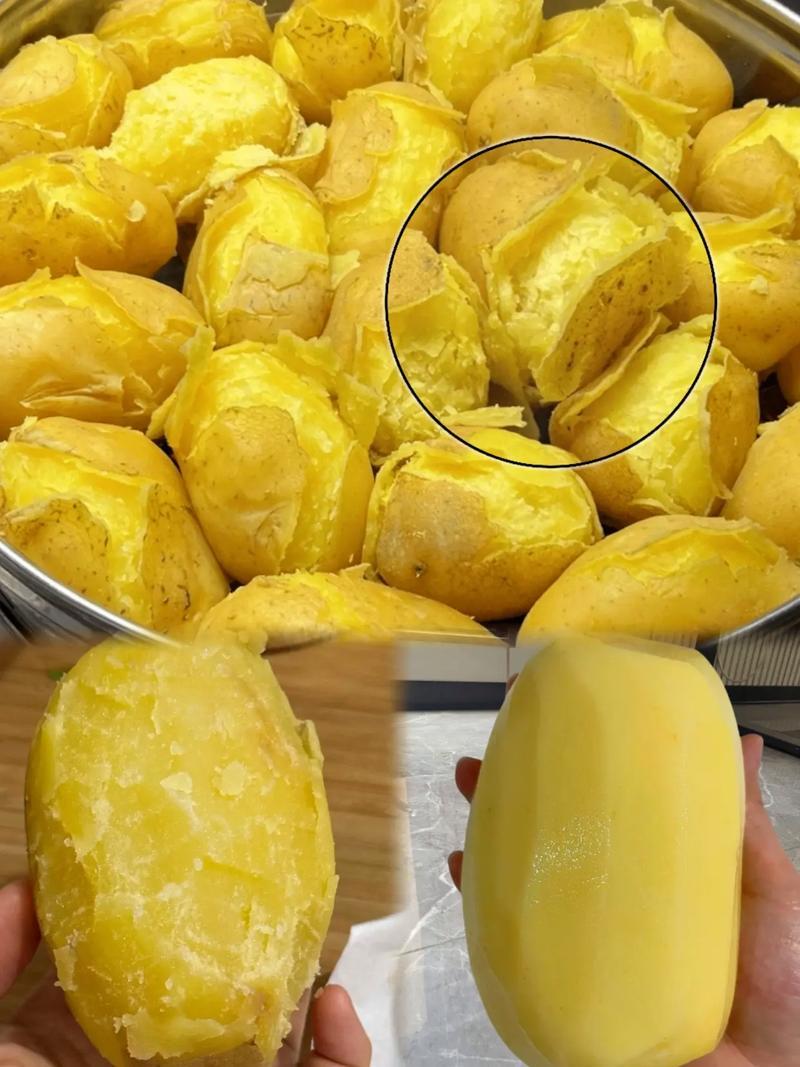 精品荷兰十五土豆一手货源全国发货可视频看货