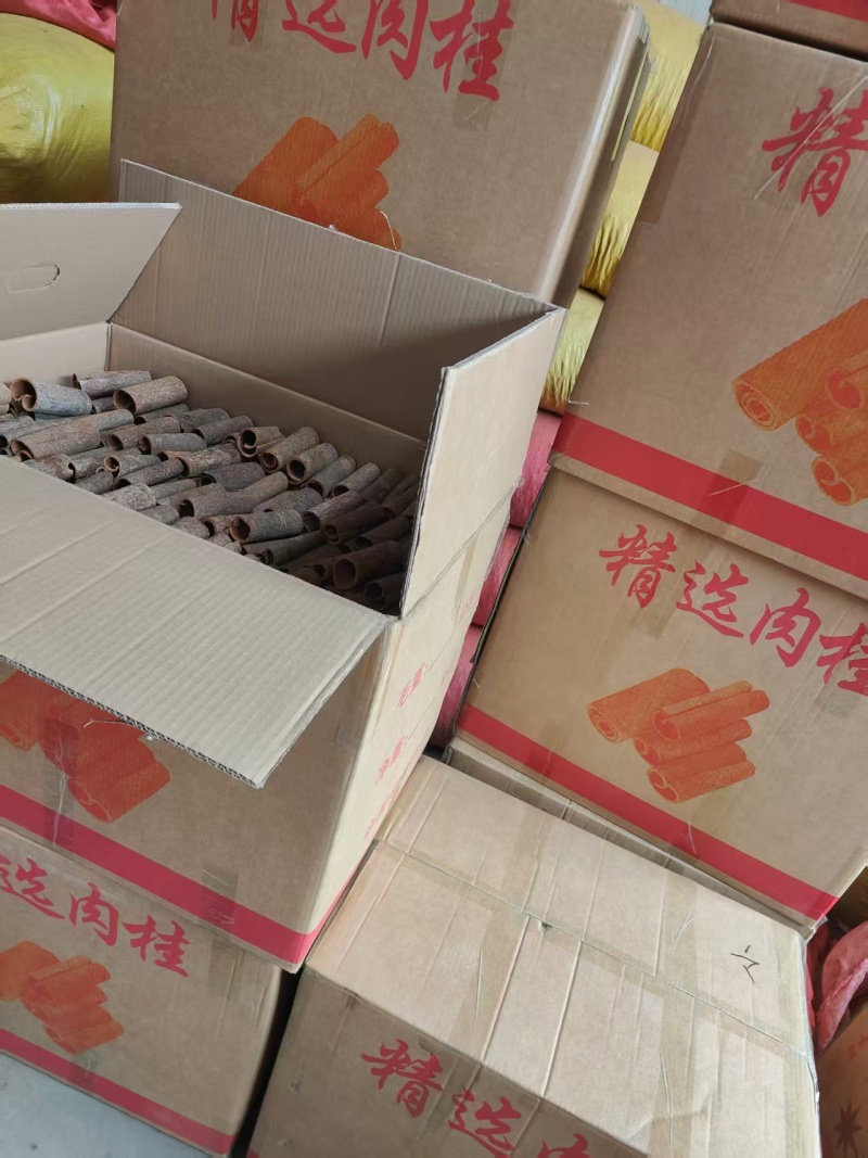 桂皮桂段大货价8/斤