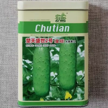楚天皇冠水果黄瓜种子短棒型旱黄瓜种籽早熟脆甜爽口节节瓜