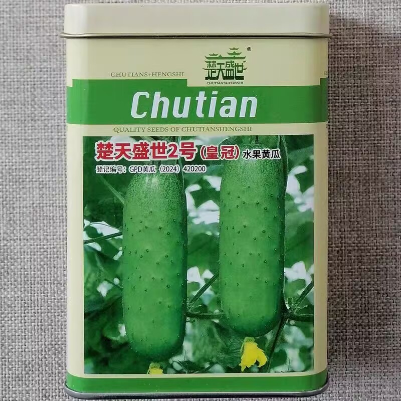 楚天皇冠水果黄瓜种子短棒型旱黄瓜种籽早熟脆甜爽口节节瓜