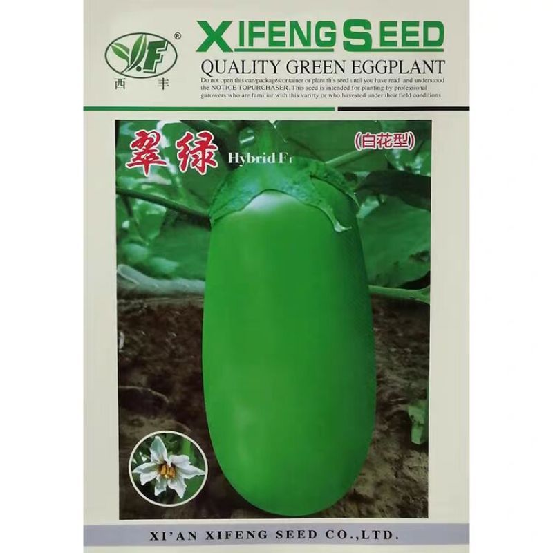 白花翠绿茄子种子果肉白色肉质细嫩籽少果大高产青茄种籽