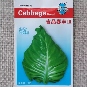 春丰牛心甘蓝种子早熟杂交牛心甘兰结球紧实越冬争春包菜种籽
