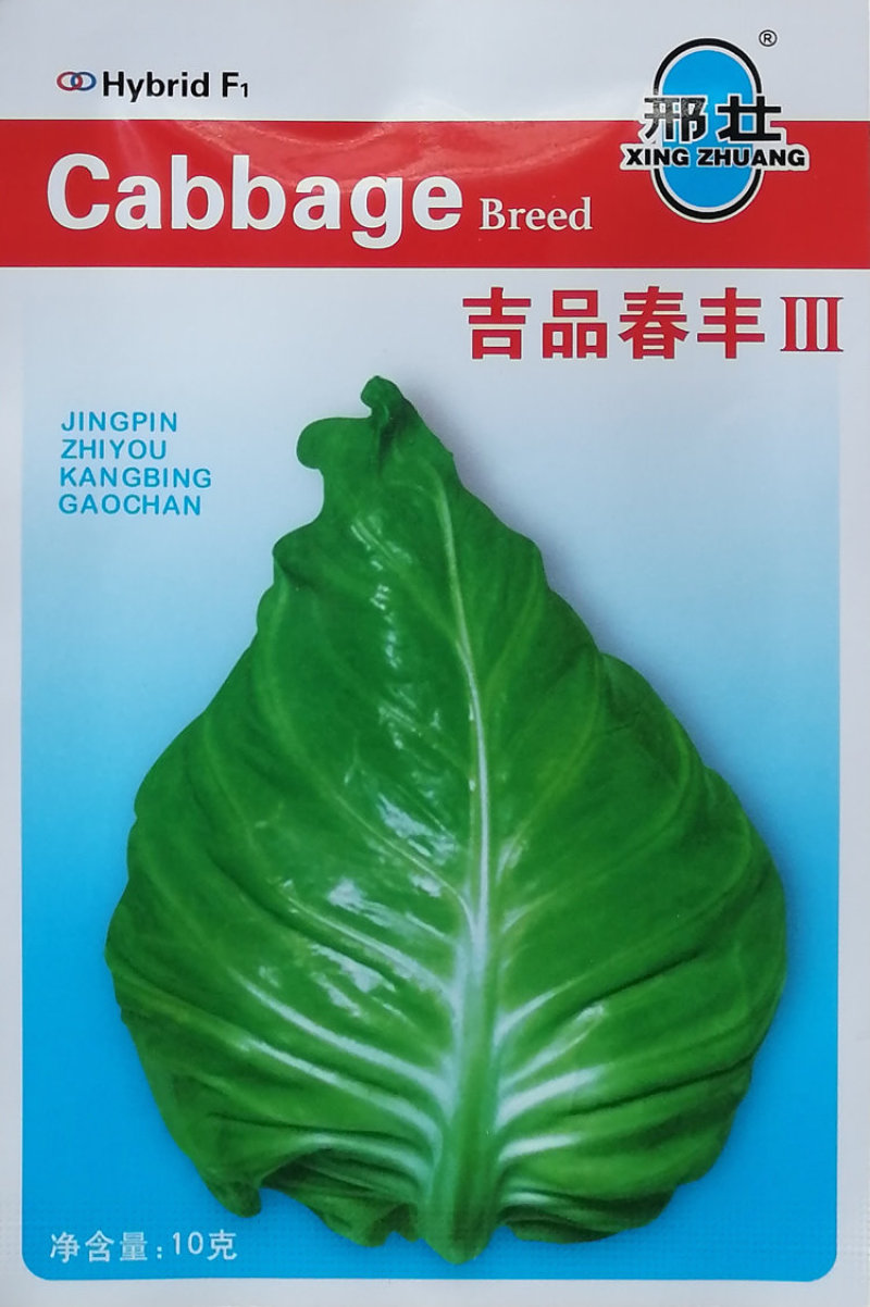 春丰牛心甘蓝种子早熟杂交牛心甘兰结球紧实越冬争春包菜种籽