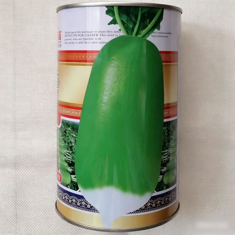 郑研玉冠萝卜种子根形美观皮色亮绿口感脆甜新育成绿皮萝卜种