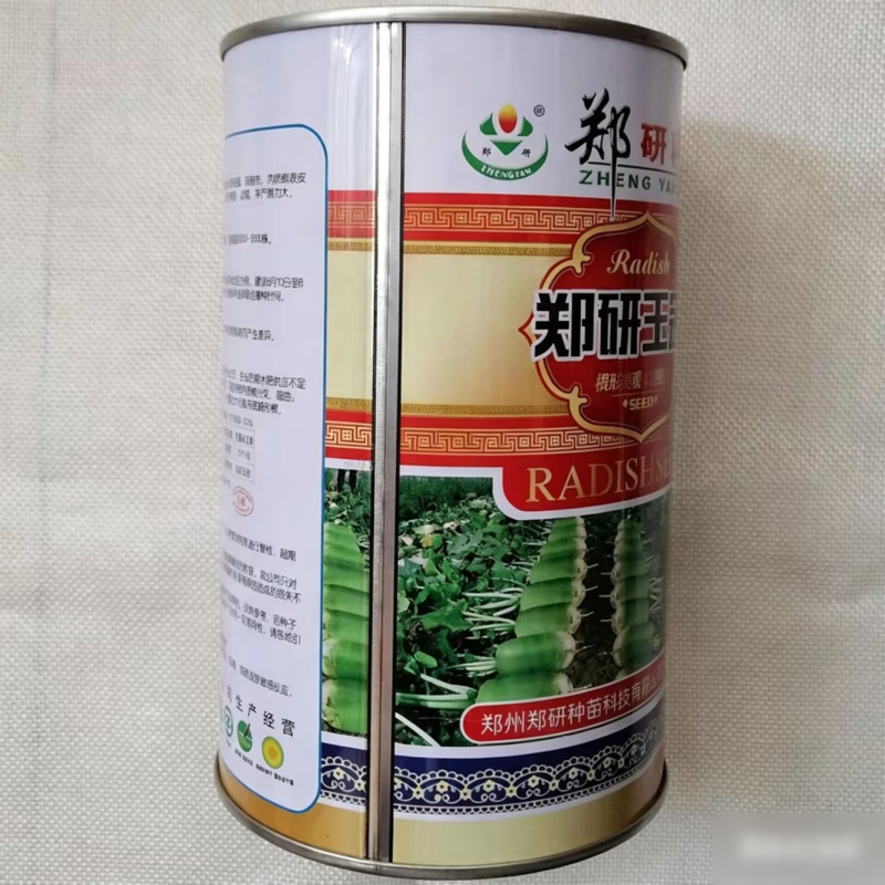 郑研玉冠萝卜种子根形美观皮色亮绿口感脆甜新育成绿皮萝卜种