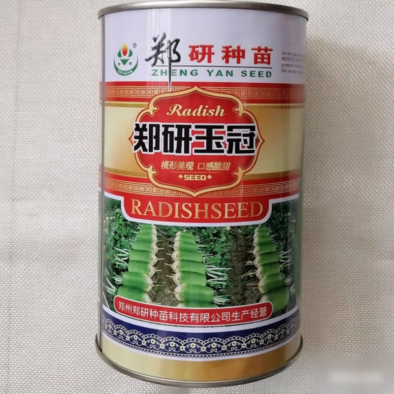 郑研玉冠萝卜种子根形美观皮色亮绿口感脆甜新育成绿皮萝卜种