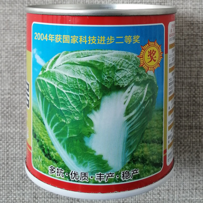 秦白2号二号大白菜种子高产白菜籽耐储藏运输优质丰产