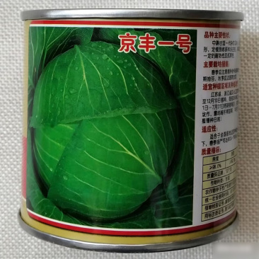 京丰一号甘蓝种子杂交中熟包菜卷心菜种籽叶球扁圆春秋播种