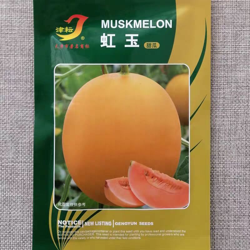 虹玉甜瓜种子高圆型橘黄皮红瓤甜瓜香甜红肉香瓜种籽