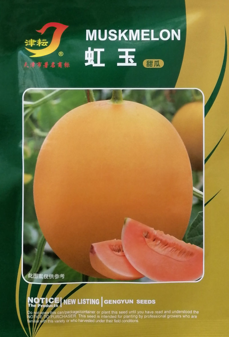 虹玉甜瓜种子高圆型橘黄皮红瓤甜瓜香甜红肉香瓜种籽