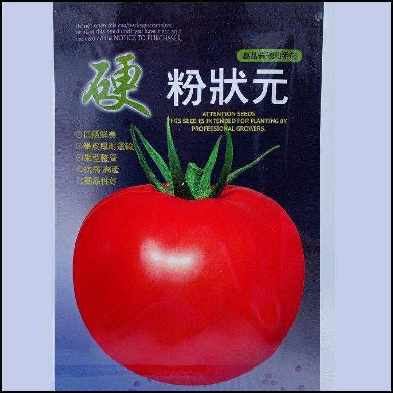 硬粉状元番茄种子无限生长不早衰耐寒抗病春秋大棚露地西红柿