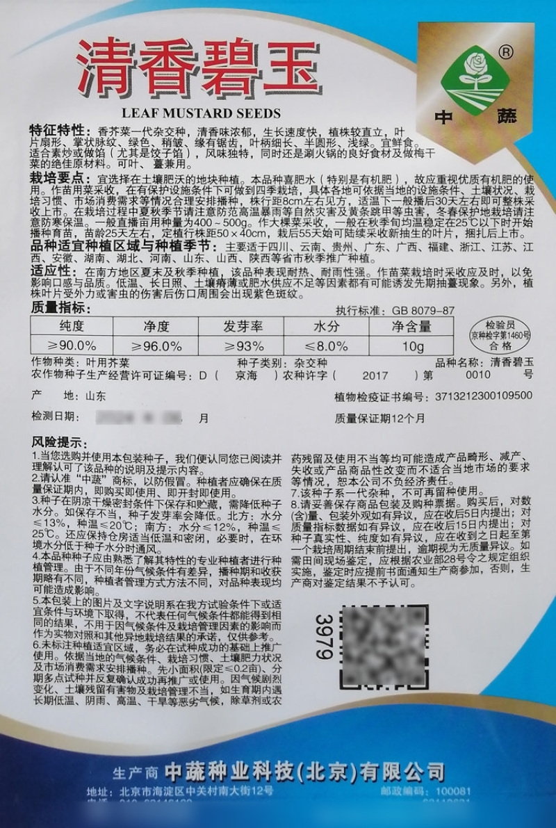 清香碧玉大叶香芥菜种子耐热青菜种籽盆栽四季饺子菜腌菜种子