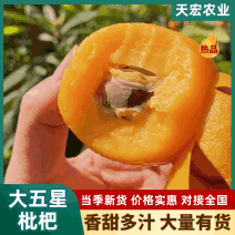 四川大伍枇杷大量供应（罐头果）工厂果，欢迎电咨询