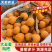 大伍星枇杷大量供应，电商，市场超市欢迎来电咨询