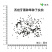 【精品】西班牙黑种草种子欧洲黑子草可切花地栽庭院阳台盆栽