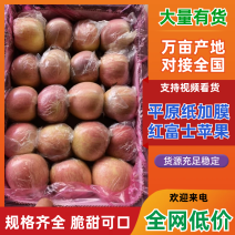 平原纸加膜红富士苹果/山西万荣苹果/货源充足/可全国发货