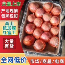 羊奶苹果/高山纸加膜红富士苹果/山西万荣苹果/量大从优