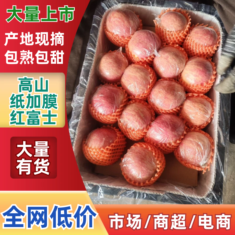 羊奶苹果/高山纸加膜红富士苹果/山西万荣苹果/量大从优