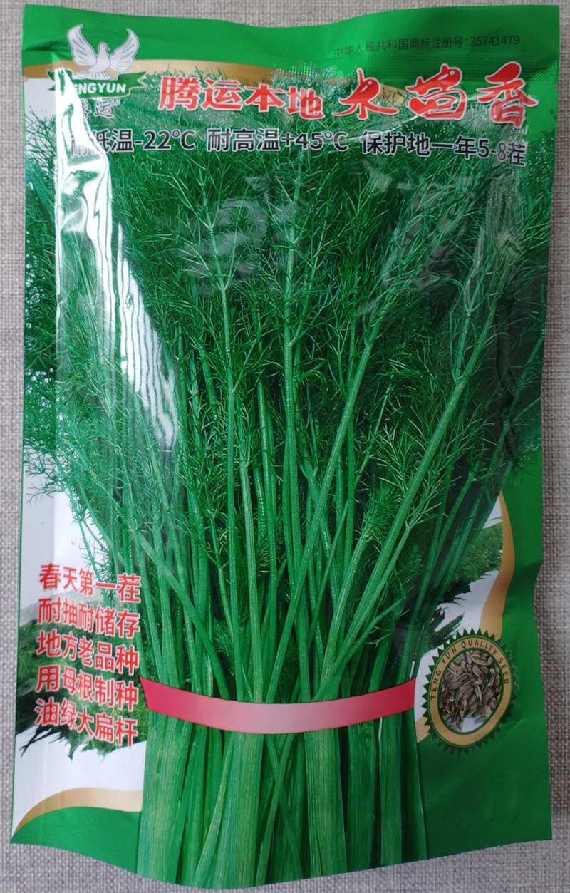 木茴香大扁桔种子四季播割茬小茴香高产五茬茴香种籽香味浓郁