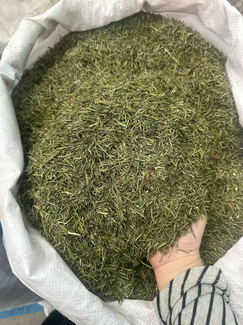 迷迭香大货价14.5元/斤