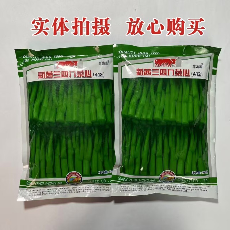 新西兰四九菜心种子粗条甜菜苔种子生长快速高产抗病基地种植