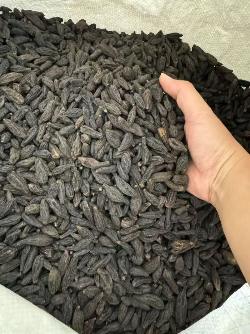 青果大货价12元/斤