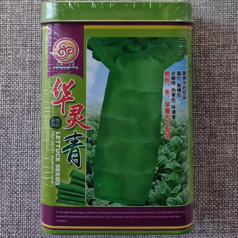 圆叶香莴笋种子华灵青绿皮青肉高产大田莴苣种子秋冬基地种植