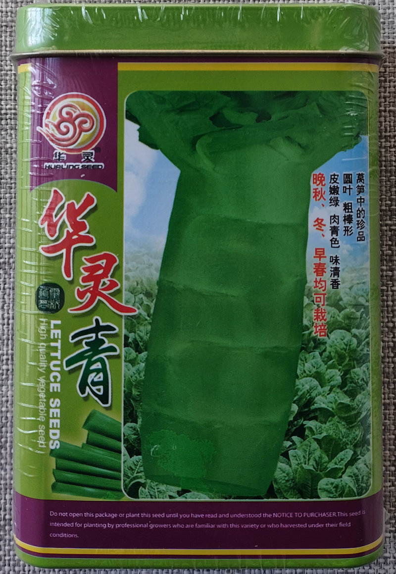 圆叶香莴笋种子华灵青绿皮青肉高产大田莴苣种子秋冬基地种植