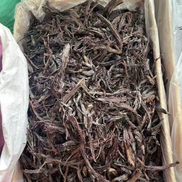 紫草大货价23.5元/斤