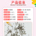 【精品】君主系列花菱草种子金英花人参花洋丽春花籽花菱草种