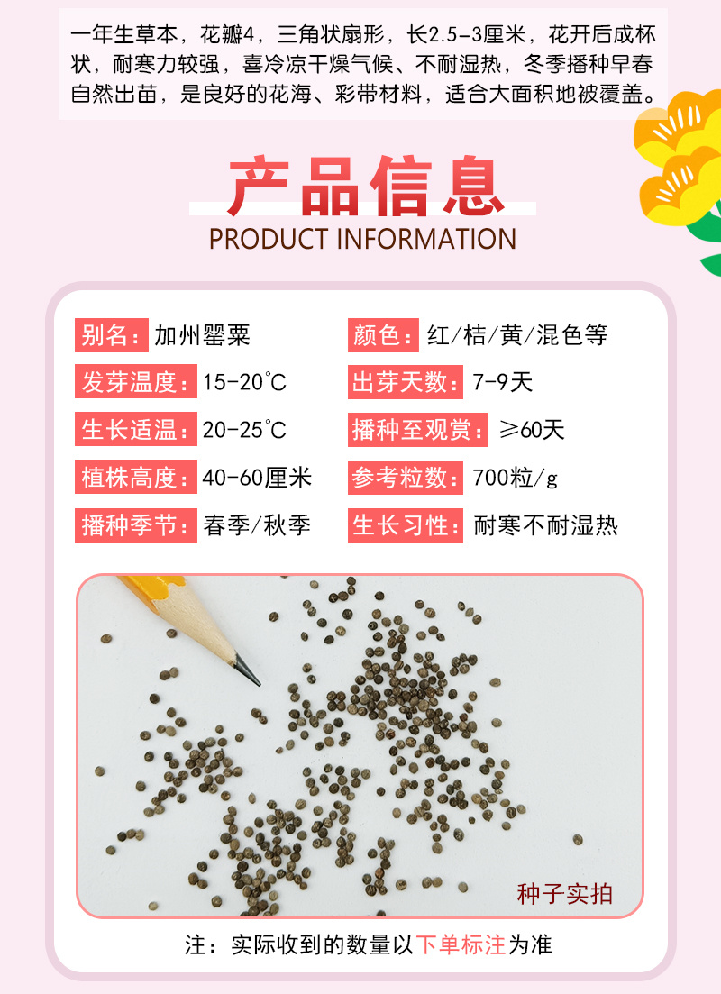 【精品】君主系列花菱草种子金英花人参花洋丽春花籽花菱草种
