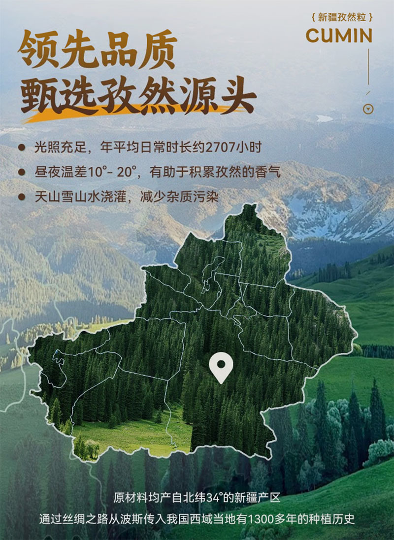 正宗新疆孜然粉厂家现磨实力工厂电商一件代发工厂定做