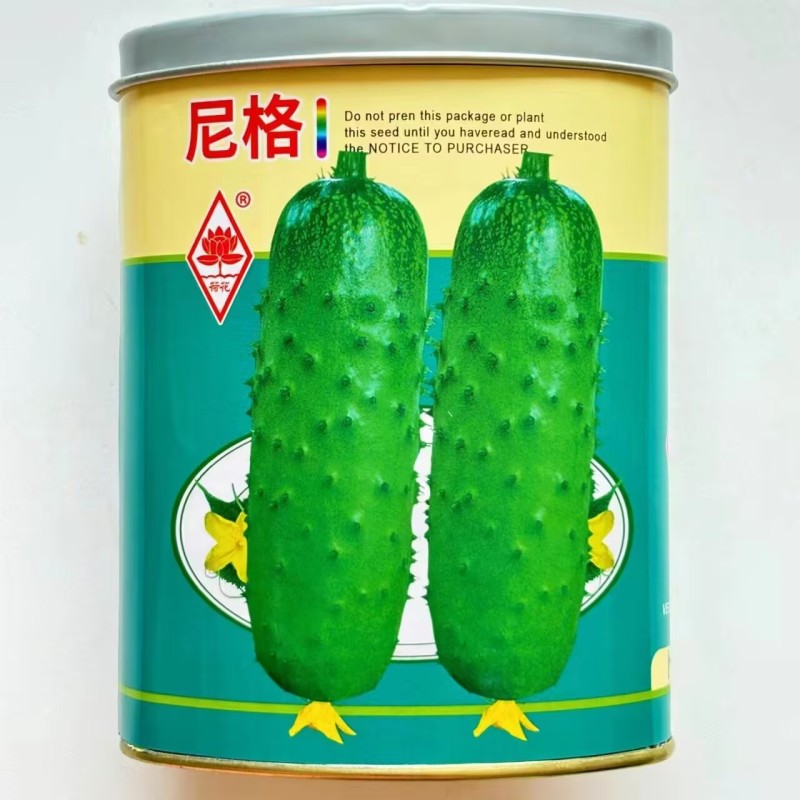 水果黄瓜种子唐山秋瓜旱黄瓜种籽皮色翠绿口感清香大田高产